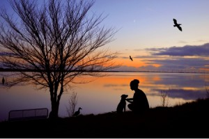 深圳社保如何查询个人账户缴费明细？个人账户查询余额怎么查？