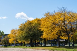 工伤保险怎么购买？费率下调后哪些人会受益？