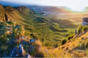 2021年生育津贴有哪些新规定？报销流程是什么？