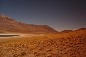 离职可以，社保可别断，讲真的